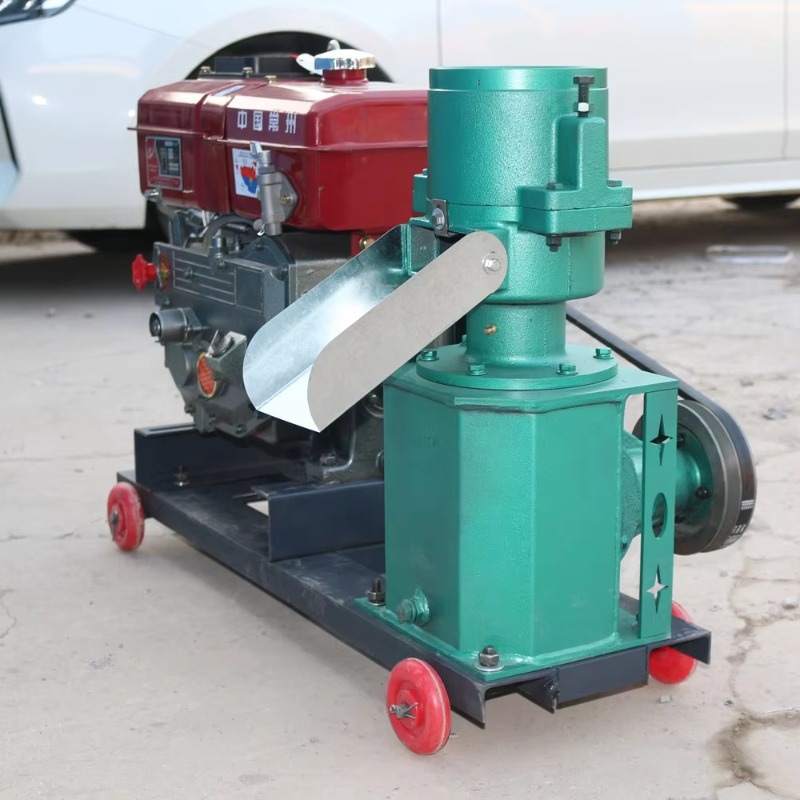 Wood Pellet Making Machine - Новая металлическая грануляторная машина для кормов