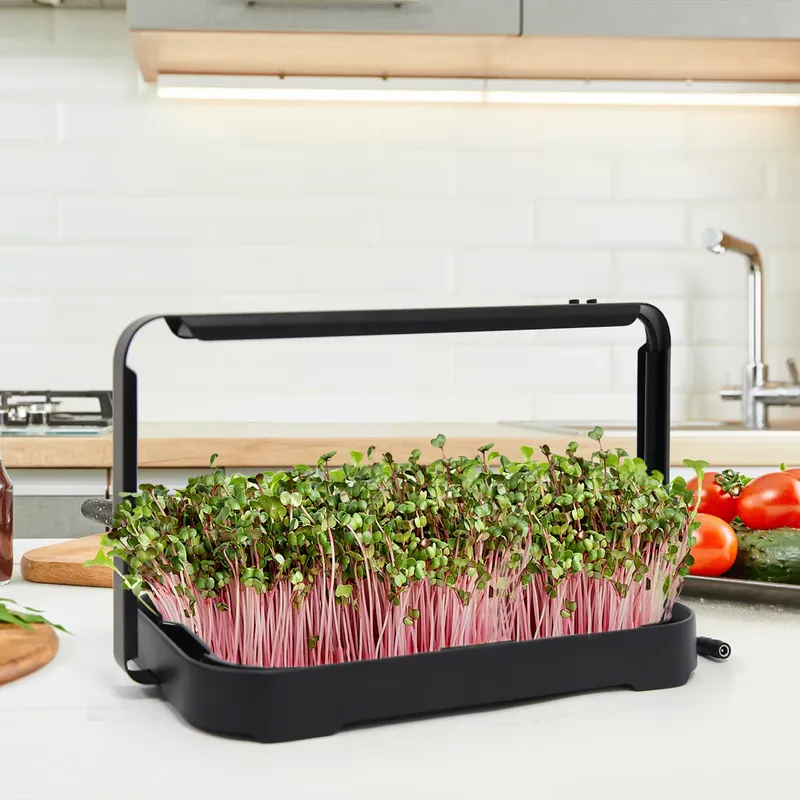 Seed Planter - Гидропонный лоток для выращивания микрозелени в