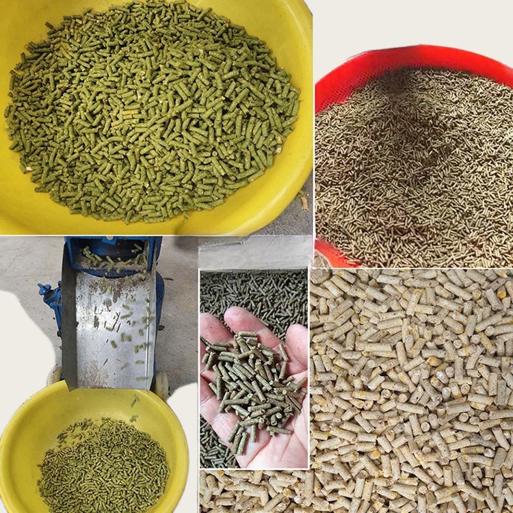 Гранулятор для кормов для живо – обзор и цена Wood Pellet Making Machine