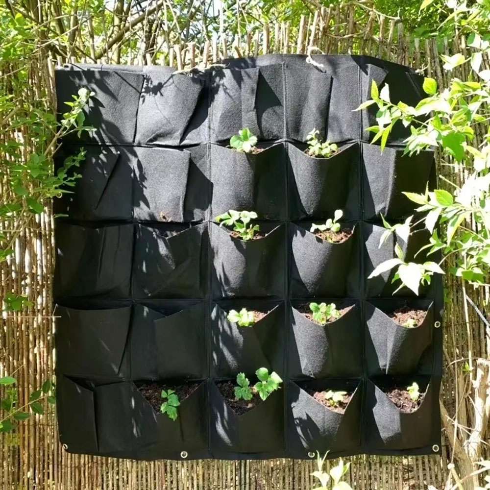 Зеленый вертикальный подвесной – обзор и цена Seed Planter