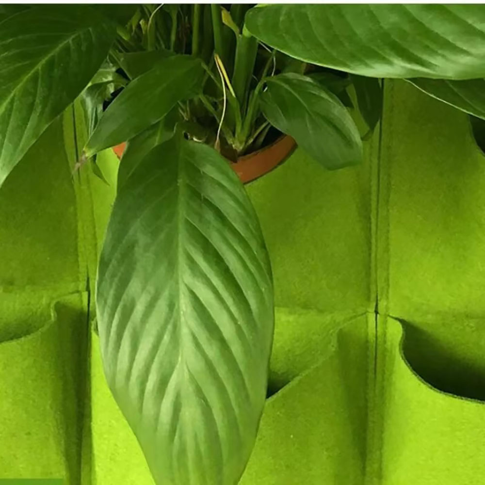 Зеленый вертикальный подвесной – обзор и цена Seed Planter